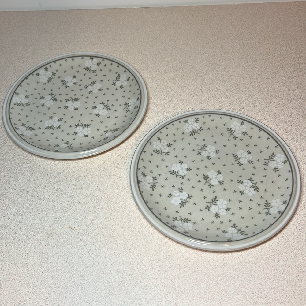 Vintage Regency Stoneware plates
